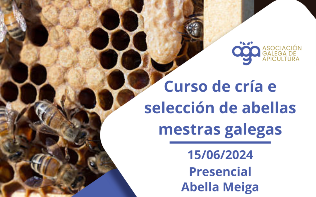 Curso práctico de cría e selección de abellas mestras galegas